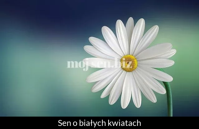 Sen o białych kwiatach