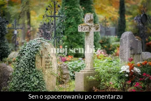 Sen o spacerowaniu po cmentarzu