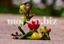 Sen o tańczących żabach