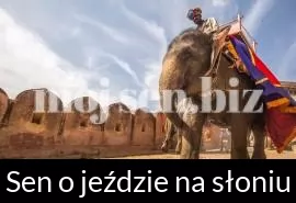 Sen o jeździe na słoniu
