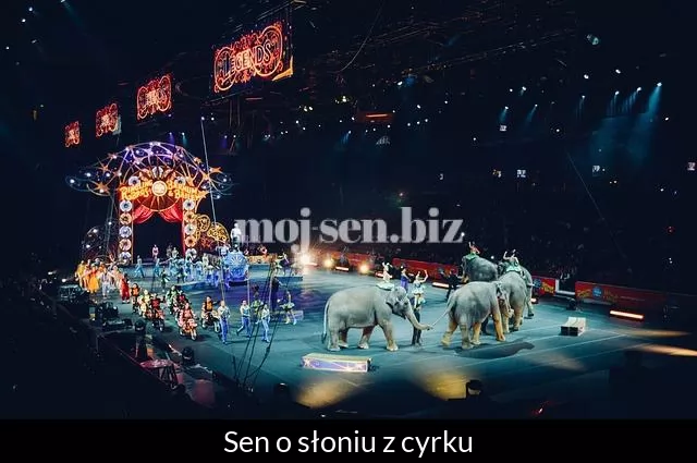 Sen o słoniu z cyrku