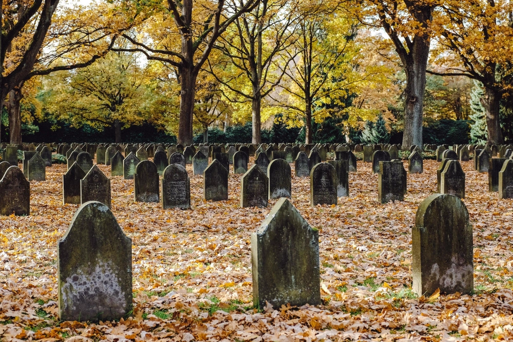 Sen o wizycie na zapomnianym cmentarzu