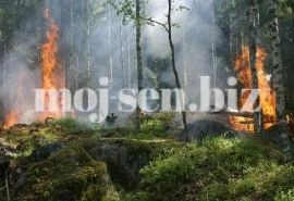 Sen o pożarze lasu