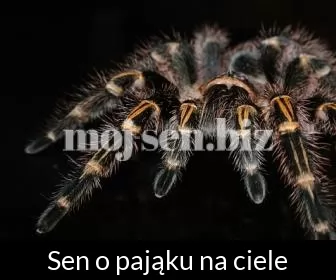 Sen o pająku na ciele