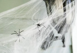 Sen o strachu przed pająkami lub innymi insektami